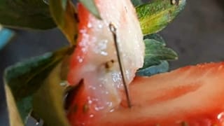 Stecknadeln in Erdbeeren: Verdacht auf Sabotage