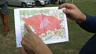 В Бельгии нашли новые случаи заражения африканской свиной чумой