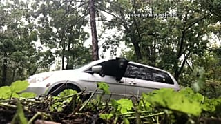Um passageiro inesperado