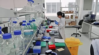 Aynı bağışçıdan yapılan organ nakli 4 kişide kansere neden oldu