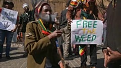 Supremo Tribunal da África do Sul autoriza consumo de canabis