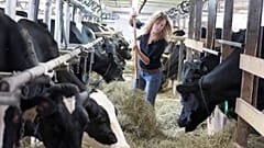 "Fair-Food"-Referendum: Schweizer streiten ums Essen