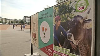 Élelmiszer-kérdésekről és bringautakról is szavaznak Svájcban