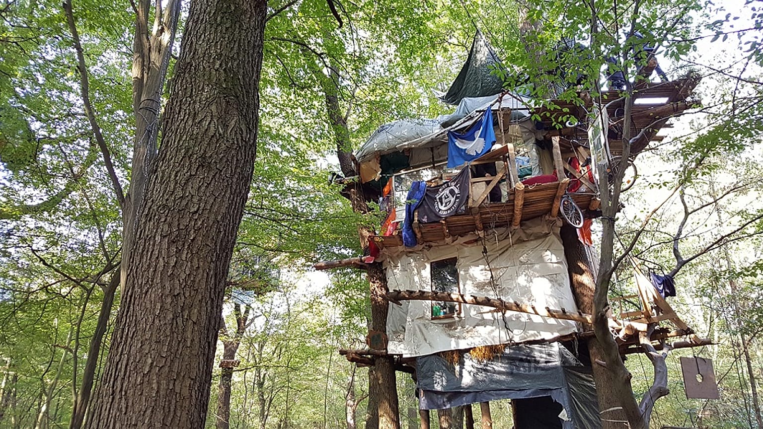 Man dies in Hambach Forest after fall from treehouse bridge