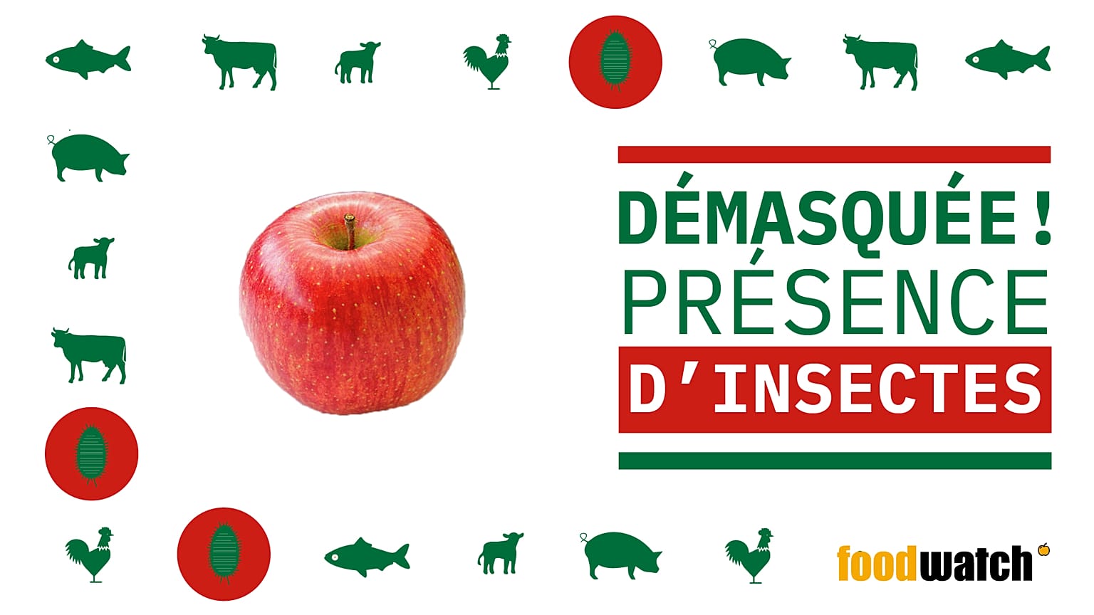 De l'huile d'insecte dans vos yaourts ou vos pommes ?