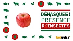 De l'huile d'insecte dans vos yaourts ou vos pommes ?