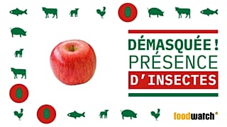 De l'huile d'insecte dans vos yaourts ou vos pommes ?
