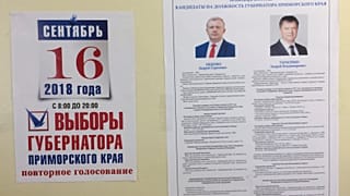  Приморский избирком отменил результаты выборов губернатора 