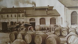 Video: Pilsen müzesi, Pilsen, Çek Cumhuriyeti