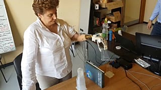 Mão biónica simula sensação do toque