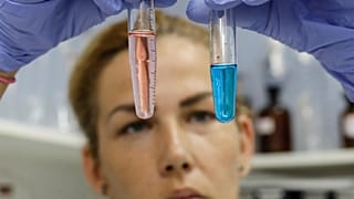 «Η μνήμη φυλάει τον χάρτη της πορείας μας στη ζωή»