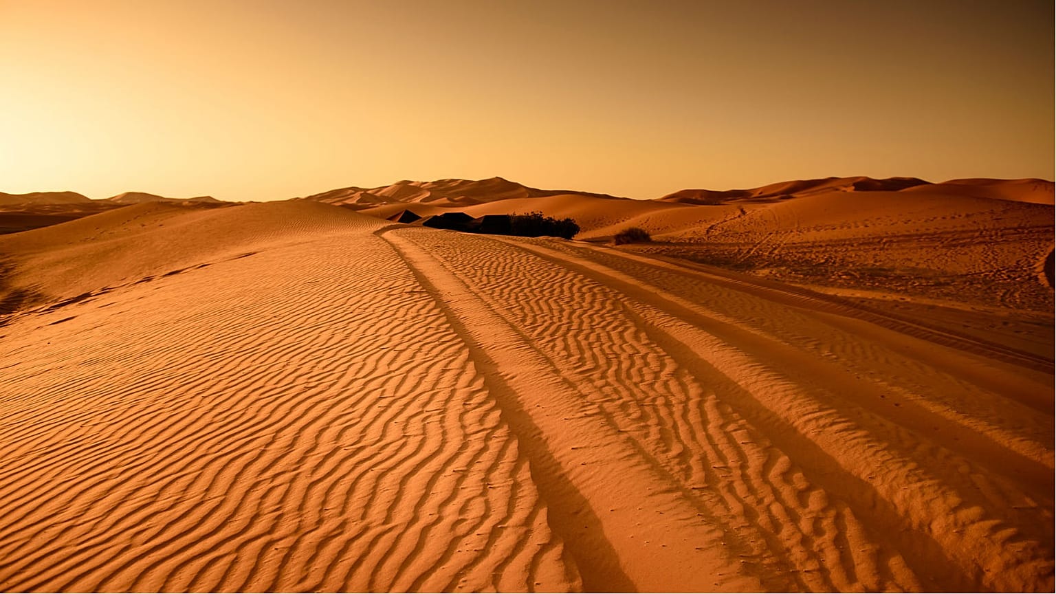 Trump 'told Spain to build wall through Sahara' to stop migrants