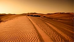 Trump 'told Spain to build wall through Sahara' to stop migrants
