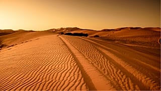 Trump 'told Spain to build wall through Sahara' to stop migrants
