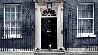 Streit um "Croydon Cat Killer": Wer ist der Mörder von 400 Katzen?