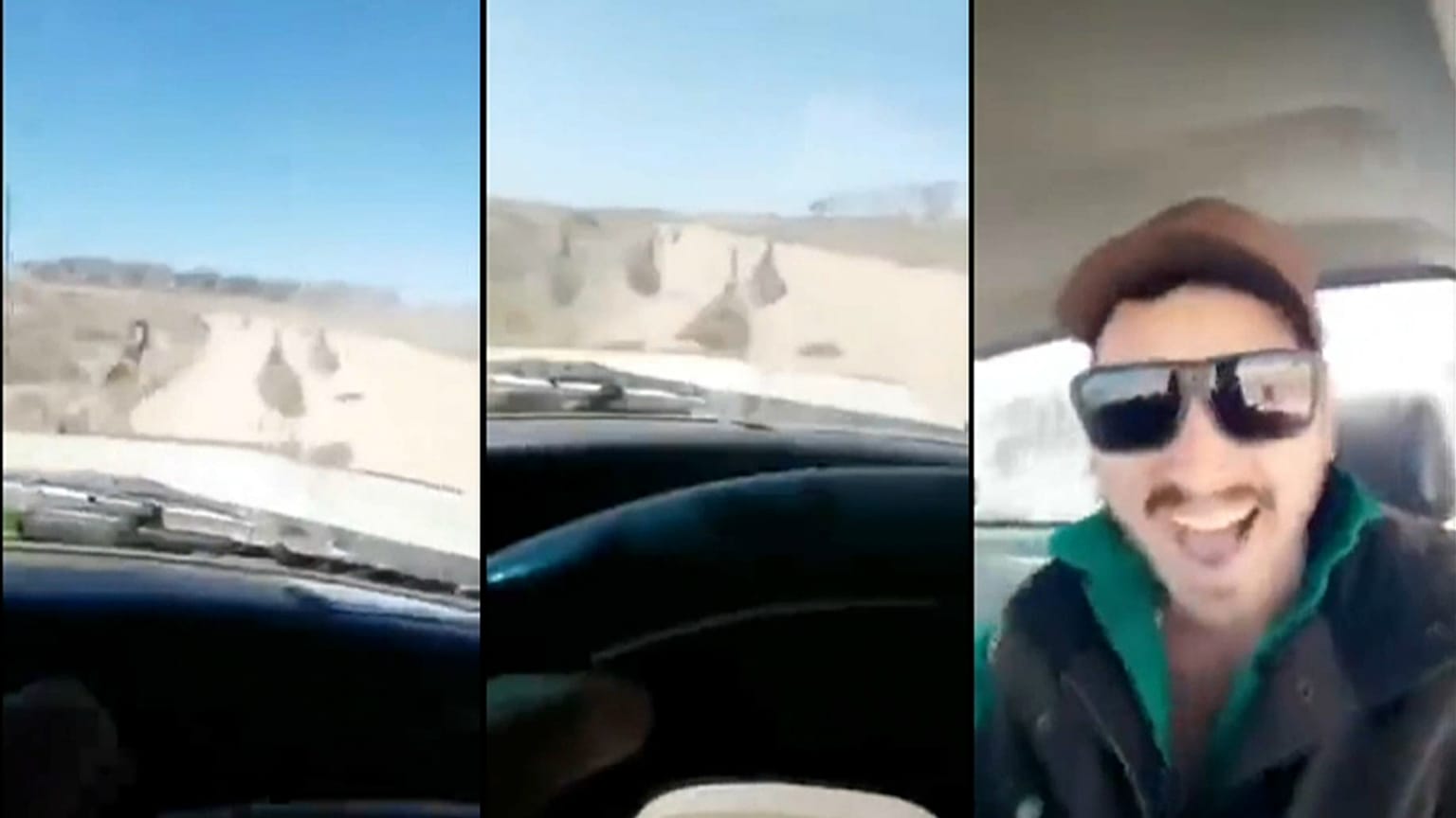Video: Avustralya'da deve kuşlarını 'acımasızca' ezen şoför aranıyor 