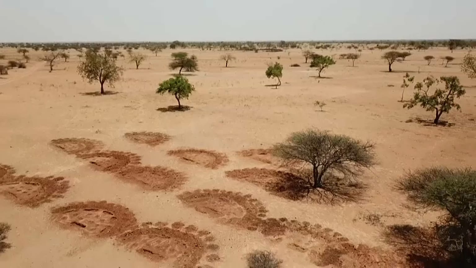 Migrants climatiques, la prochaine grande crise