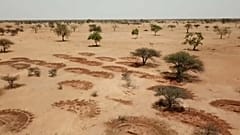 “Muchos de los que llaman inmigrantes económicos son también inmigrantes medioambientales"