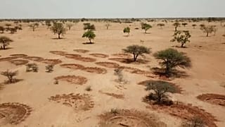 “Muchos de los que llaman inmigrantes económicos son también inmigrantes medioambientales"