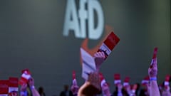 Γερμανία: Δεύτερο κόμμα η ακροδεξιά σε δημοσκόπηση