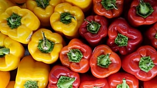 هل الفلفل الأخضر والأصفر والأحمر خضار واحد وثمرة واحدة؟
