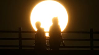 France : la canicule a fait 1 500 morts