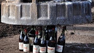 Photo prétexte rapport de l'OMS contre consommation d'alcool.
