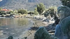 «Αραχνοφοβία» στο Αιτωλικό