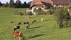 Swiss voters reject more aid for farmers