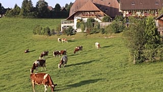 Swiss voters reject more aid for farmers