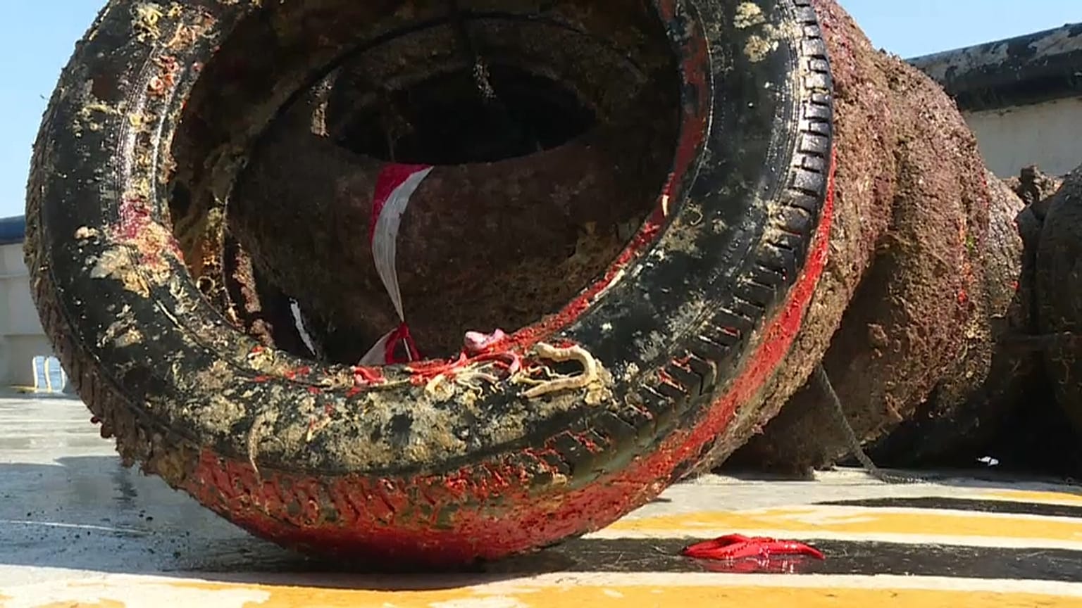 Opération "retrait de pneus" dans le golfe Juan
