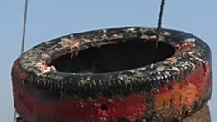 Απομάκρυνση χιλιάδων ελαστικών από τη Μεσόγειο