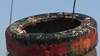 Απομάκρυνση χιλιάδων ελαστικών από τη Μεσόγειο
