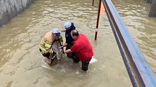 Ein Reh wird von Feuerwehrmännern aus dem Wasser gerettet