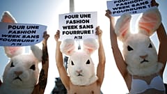 Pariser Modewoche: Peta-Aktivisten fordern pelzfreie Laufstege