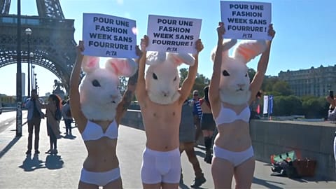 PETA против натурального меха в Париже