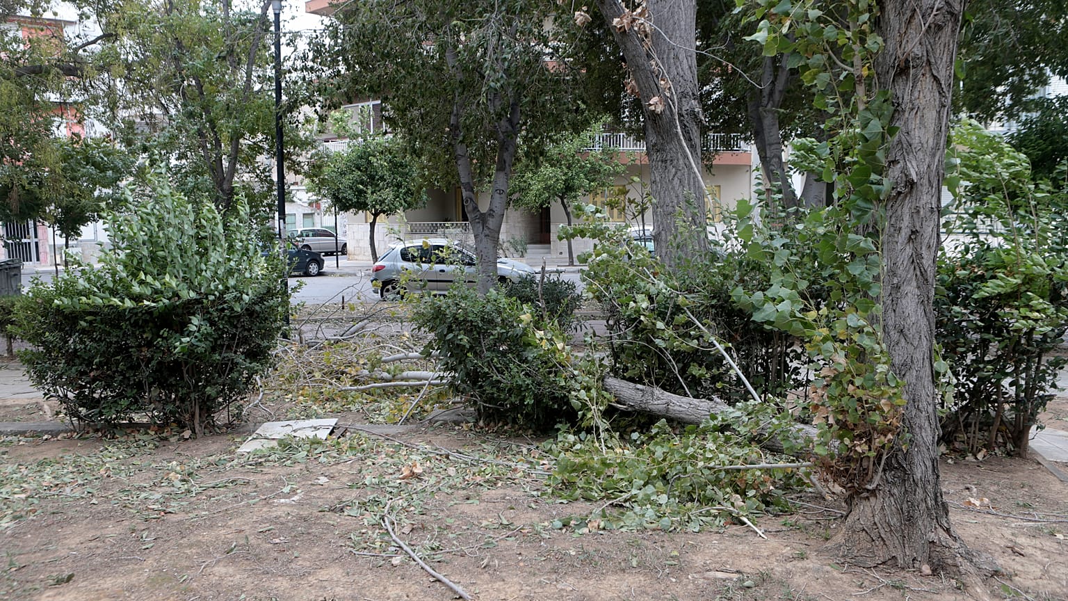 Σπασμένα κλαδιά δέντρων στο Πάρκο του Μπαρουτάδικου στο Αιγάλεω