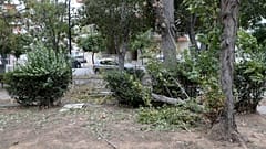 Σπασμένα κλαδιά δέντρων στο Πάρκο του Μπαρουτάδικου στο Αιγάλεω