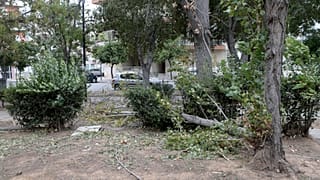 Σπασμένα κλαδιά δέντρων στο Πάρκο του Μπαρουτάδικου στο Αιγάλεω