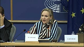 Raw Politics: how can Europe filter what's fact and what's fake news?