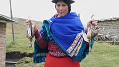 Ekvador'da göçmen kuşların gizemli intiharına cevap aranıyor