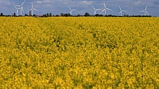 Megújuló energiaforrásból nyeri az EU az áramának a 30 százalékát