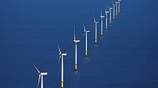 ¿Qué países europeos lideran el sector de la energía renovable?