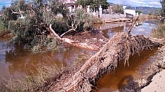 Εύβοια: Εντοπίστηκε ζωντανός ο 27χρονος - Ώρες αγωνίας για το ζευγάρι που αγνοείται