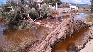 Εύβοια: Εντοπίστηκε ζωντανός ο 27χρονος - Ώρες αγωνίας για το ζευγάρι που αγνοείται