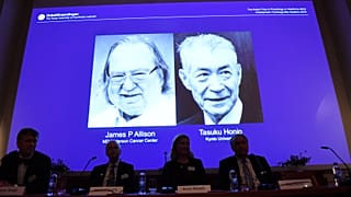 Nobel de medicina para la inmunoterapia del cáncer