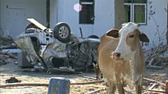 Deprem ve tsunaminin vurduğu Endonezya'da bilanço ağırlaşıyor