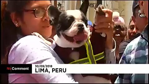 Animal lovers have their pets blessed on Saint Francis of Assisi Day