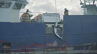 Lebuktak az illegális cápahalászok