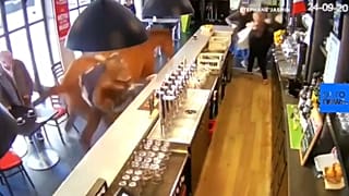 No joke but no injuries as horse runs into a bar 